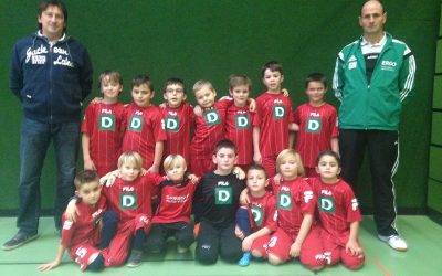 TSV Rinklingen F-Jugend gewinnt NSN CUP 2016 in Mühlacker